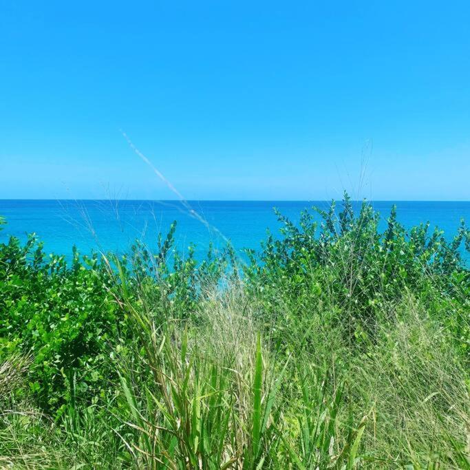 Epea Ocean View דירה ויקטוריה